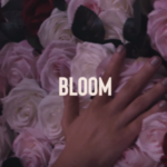 DUELLE – Bloom